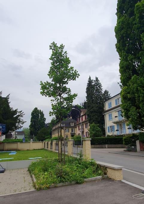 Apartment Romantisches In Der Yellow